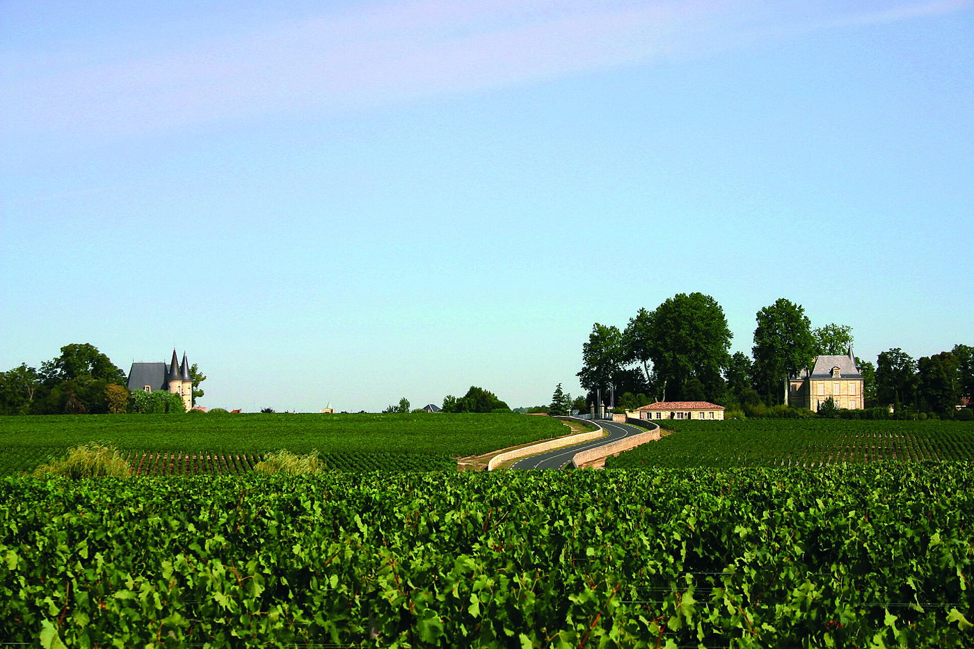 La route des châteaux traversant les vignes du Médoc, un matin d’été.